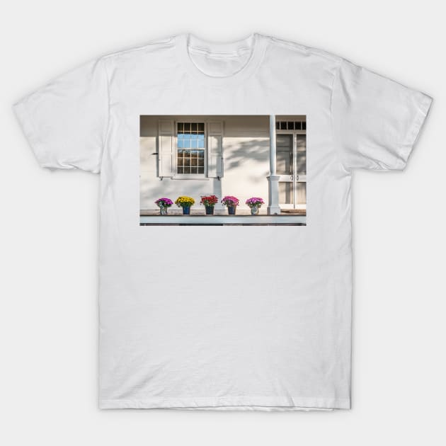 Mums on Porch T-Shirt by andykazie